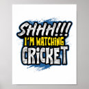 Search for cricket fan posters Fast bowler