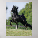 Search for trotting horse posters Animal
