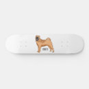 Search for chinese skateboards China