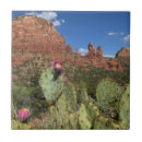 Search for sedona tiles Nature