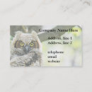 Search for outside business cards Animals