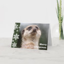 Search for meerkat christmas cards Animal