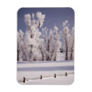 Search for frost magnets Landscape