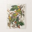Search for parrot lover Animals