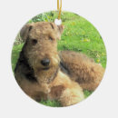Search for airedale terrier gifts Pets