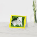 Search for samoyed dog cards Puppy