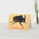 Search for beetle cards Insect