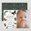 Search for insect birthday Butterfly