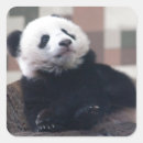 Search for big cat fur stickers Cute