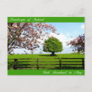 Search for spring cherry blossoms postcards Trees