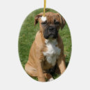 Search for boxer christmas tree decorations Pet