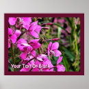 Search for bumblebee posters Wildlife