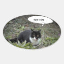 Search for funny cat image stickers Cute