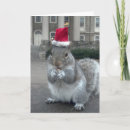 Search for santa squirrel cards Cute