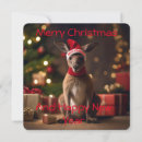 Search for funny australian christmas cards Cute