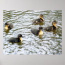 Search for ducklings nursery art Nature