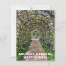 Search for west sussex postcards Arundel