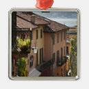 Search for male christmas tree decorations Exterior