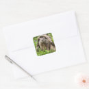 Search for ground hog stickers Nature