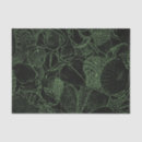 Search for sea shells tissue paper Coastal