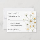Search for white daisy Country
