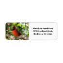 Search for cardinal bird return address labels Photography