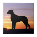 Search for ridgeback Silhouette