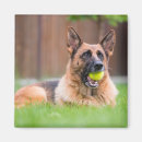 Search for fetch magnets Cute