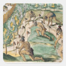 Search for native plant stickers 1591