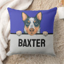 Search for blue heeler home decor Cute
