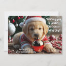 Search for golden retriever christmas cards Cute puppy