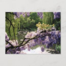 Search for willow tree postcards Impressionism