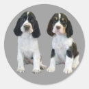Search for english springer spaniel stickers Dog