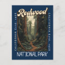 Search for redwood postcards Redwood national park