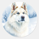 Search for siberian husky stickers Watercolor