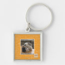 Search for addicted key rings I can has cheezburger