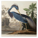 Search for heron tiles Birds of america