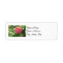 Search for zinnia return address labels Pink