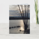 Search for flood cards Reflection