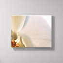 Search for white flower canvas prints Flowers