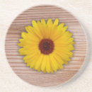 Search for wooden coasters Sunflower