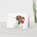 Search for jack russell dog cards Animal