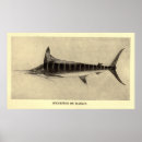 Search for marlin fish posters Deep sea fishing