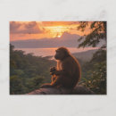 Search for costa rica postcards Landscape