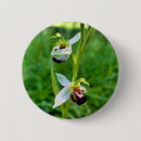 Search for orchid badges Nature
