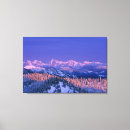 Search for nobody canvas prints America