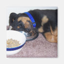 Search for rottweiler gifts Funny