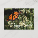 Search for monarch butterfly business cards Black