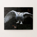 Search for snowy owl puzzles White