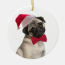Search for pug christmas decor Animal